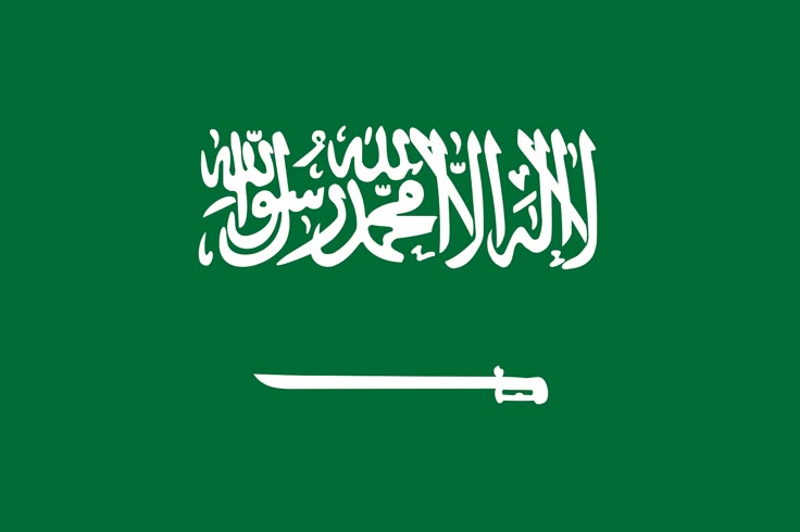 National flag of Saudi Arabia with Arabic inscription and white sword on a green background